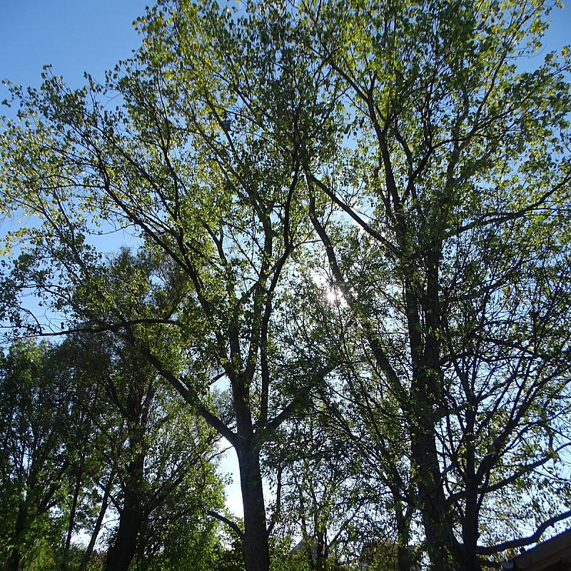 Szent Borbála Vendégház II. Érsekvadkert