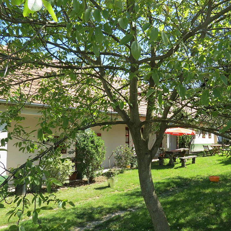 Főnix Vendégház Bakonybél