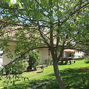 Főnix Vendégház Bakonybél