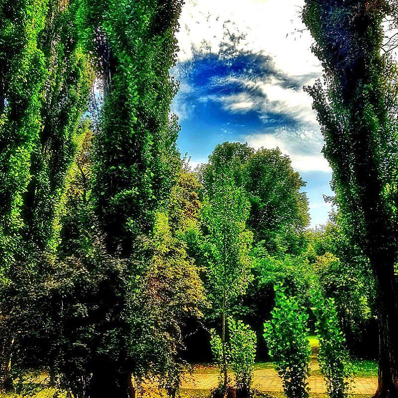 Róza Hotel Esztergom