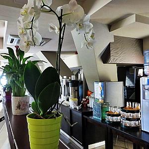 Balaton Hotel & Restaurant Siófok