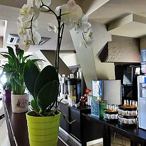 Balaton Hotel & Restaurant