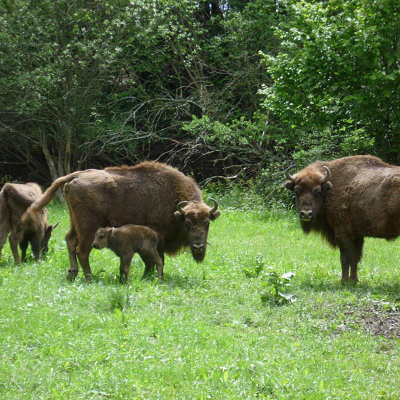 Zempléni Fehér Szikla Turisztikai Központ Füzérkomlós