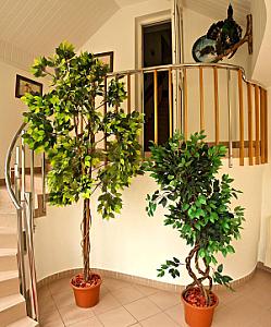 Hotel Wesselényi Győr