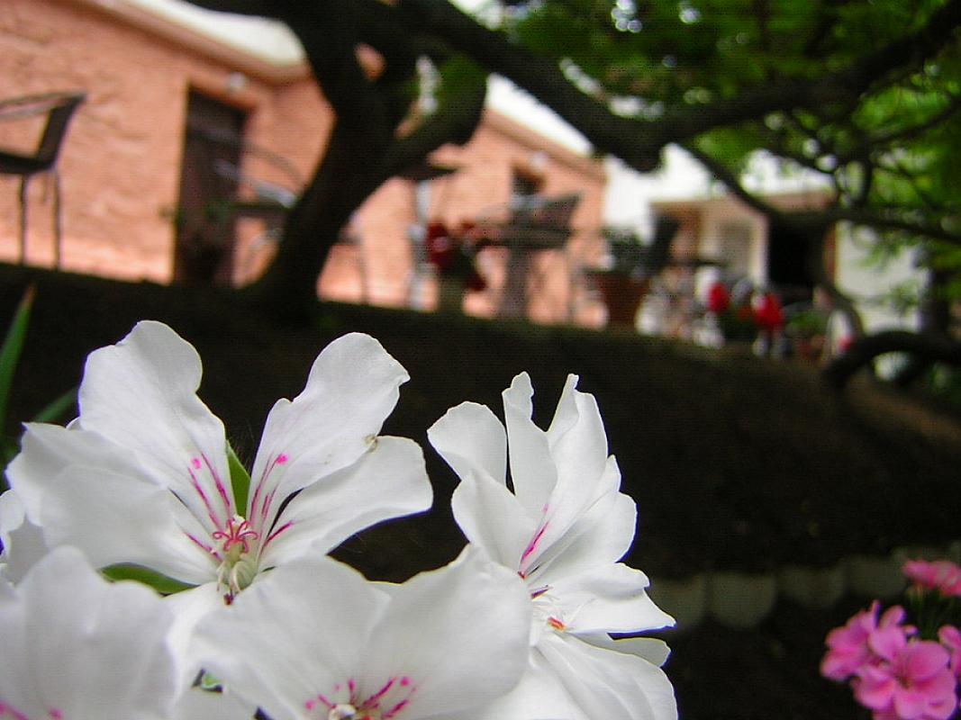 Kiss Villa Balatonföldvár