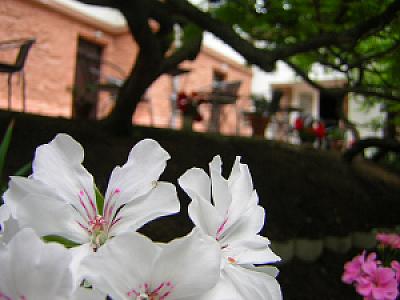 Kiss Villa Balatonföldvár