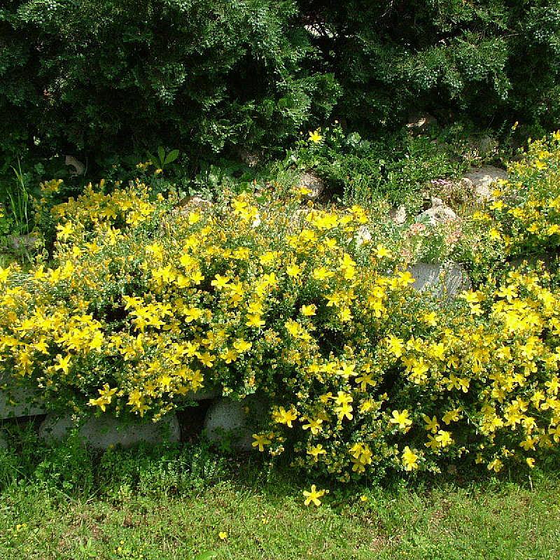 Helios Apartmanhotel Budapest