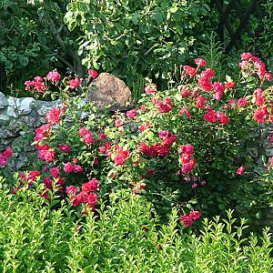 Helios Apartmanhotel Budapest