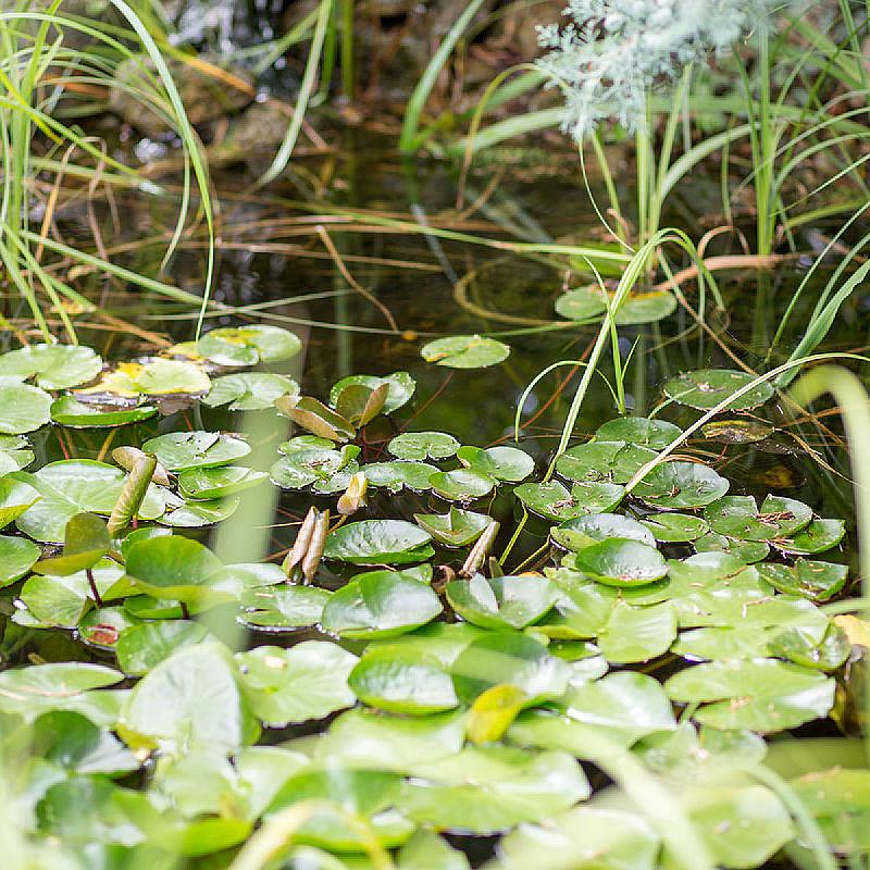 Helios Apartmanhotel Budapest