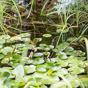 Helios Apartmanhotel Budapest