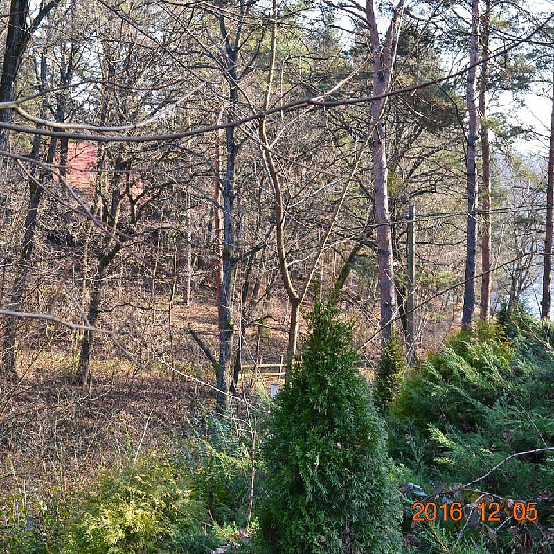 Sabária Vadása Panzió Hegyhátszentjakab