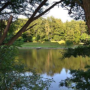 Sabária Vadása Panzió Hegyhátszentjakab