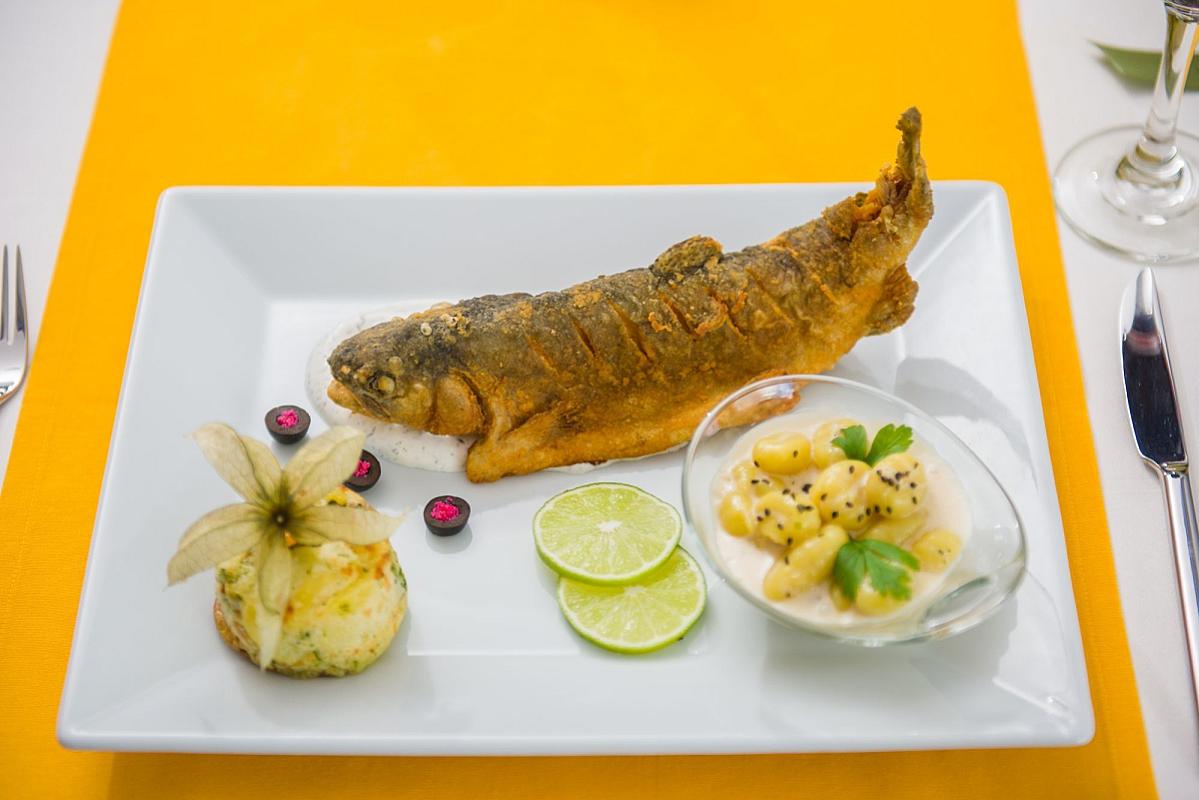 Hotel Kamilla Balmazújváros