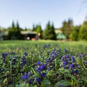 Háromházi Fogadó Libickozma