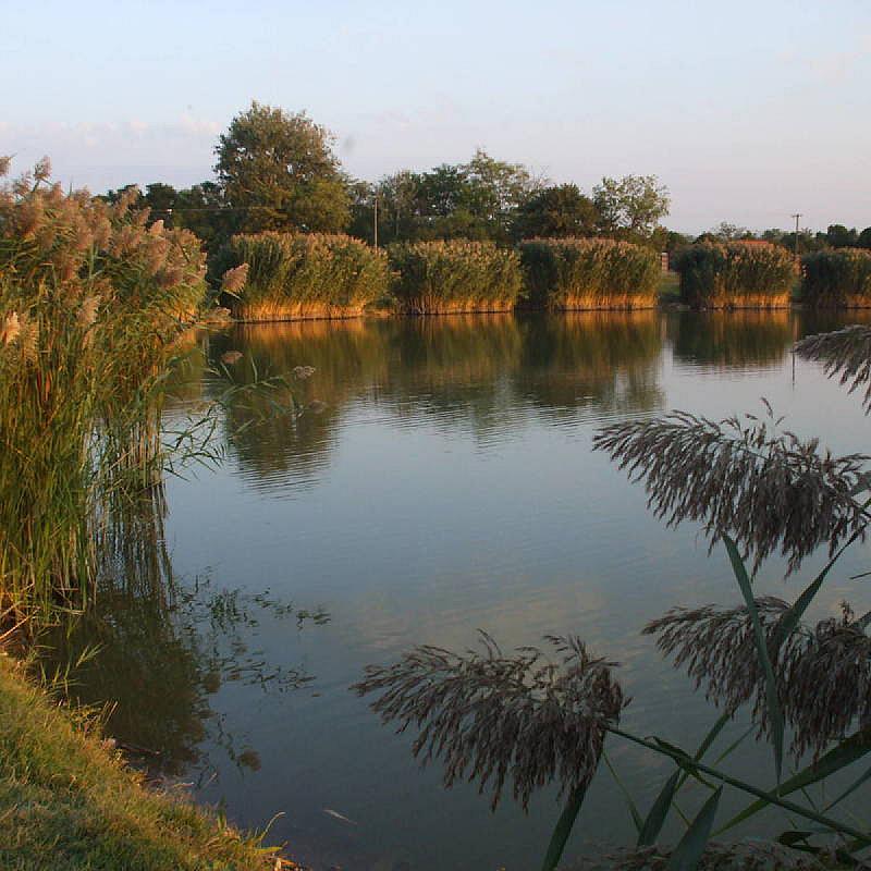 Tó Party Panoráma Panzió Kiszombor