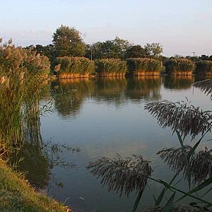 Tó Party Panoráma Panzió Kiszombor
