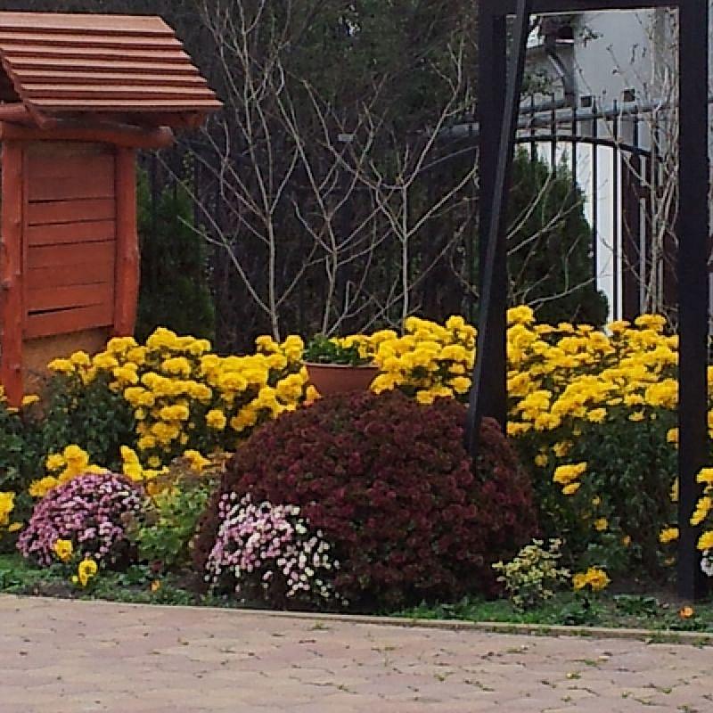 Tó Party Panoráma Panzió Kiszombor