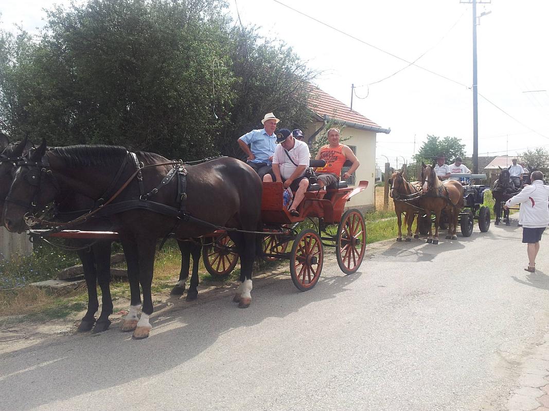 Tó Party Panoráma Panzió Kiszombor