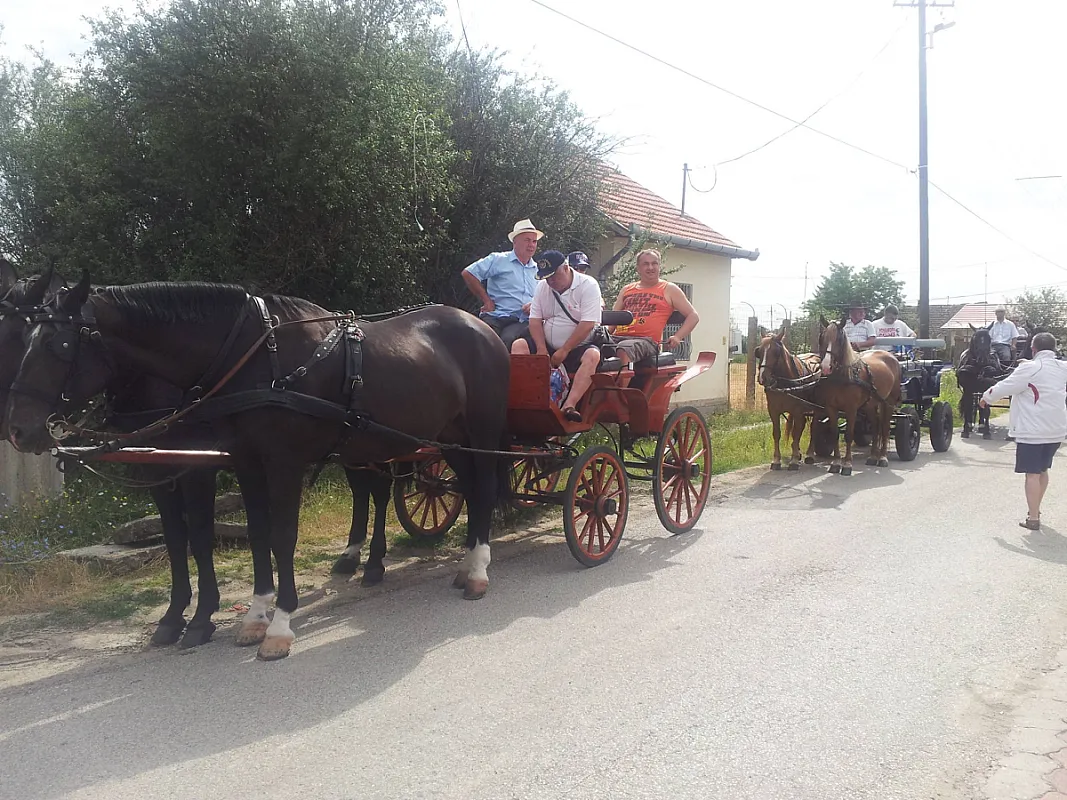 Tó Party Panoráma Panzió Kiszombor
