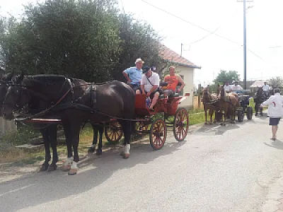 Tó Party Panoráma Panzió Kiszombor