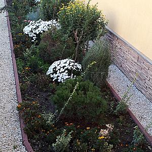 Tó Party Panoráma Panzió Kiszombor