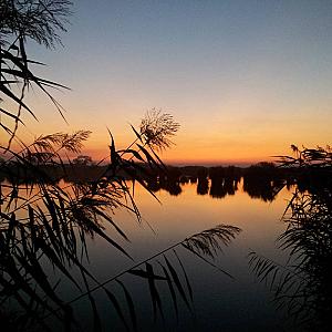 Tó Party Panoráma Panzió Kiszombor