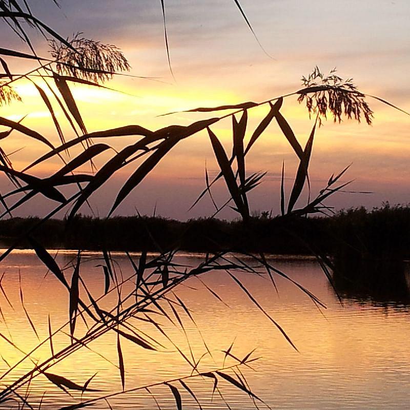 Tó Party Panoráma Panzió Kiszombor
