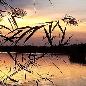 Tó Party Panoráma Panzió Kiszombor