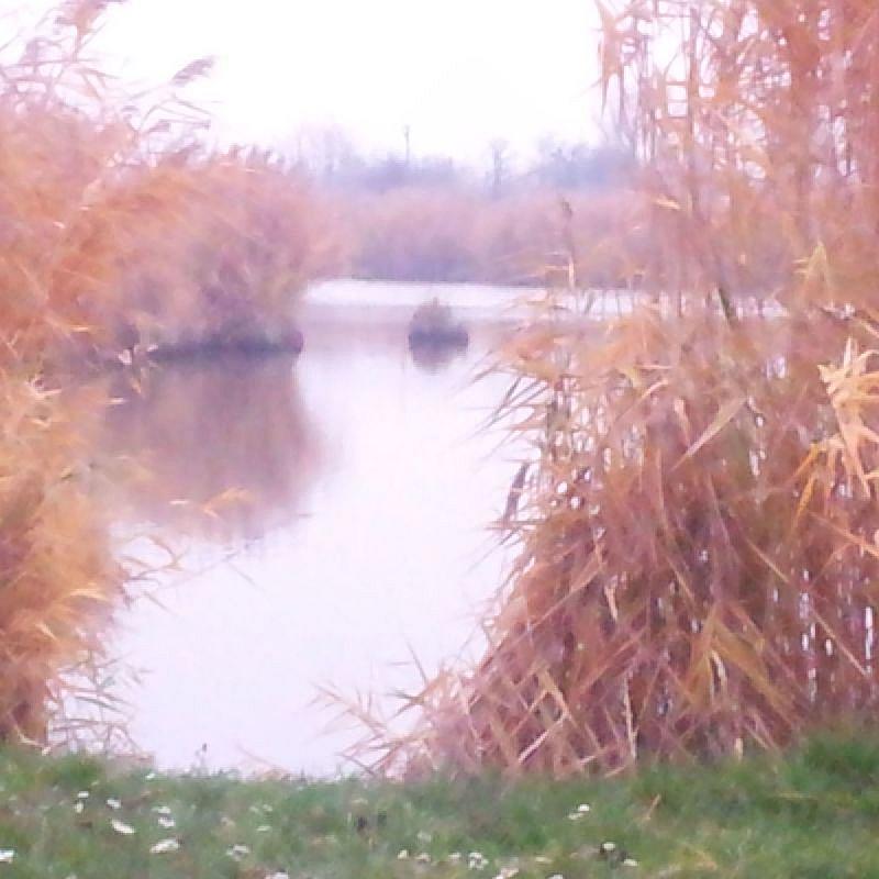 Tó Party Panoráma Panzió Kiszombor