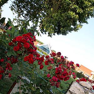 Road House Holiday Resorts Kehidakustány