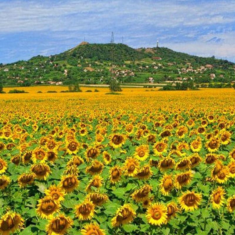  JUFA Hotel Celldömölk-Aktiv & Wellness Resort