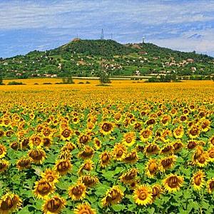  JUFA Hotel Celldömölk-Aktiv & Wellness Resort