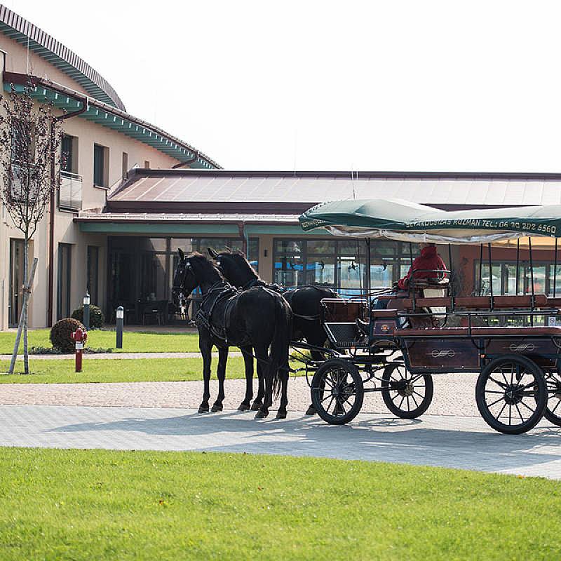  JUFA Hotel Celldömölk-Aktiv & Wellness Resort