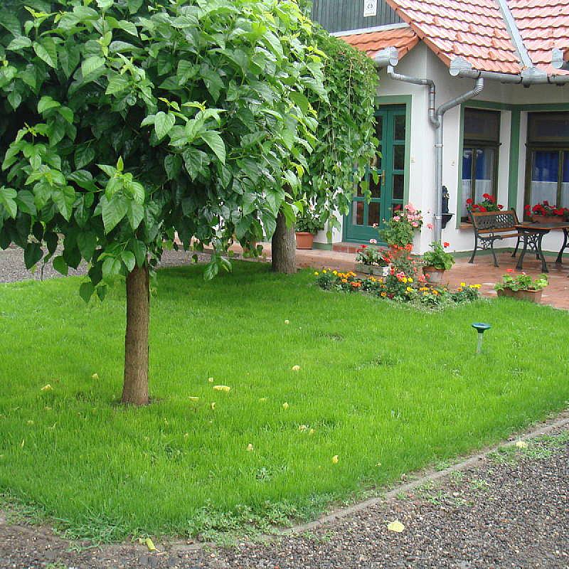 Frankó Tanya Vendégház Szarvas