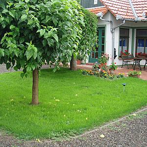 Frankó Tanya Vendégház Szarvas