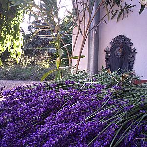 Frankó Tanya Vendégház Szarvas