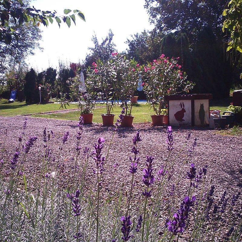 Frankó Tanya Vendégház Szarvas