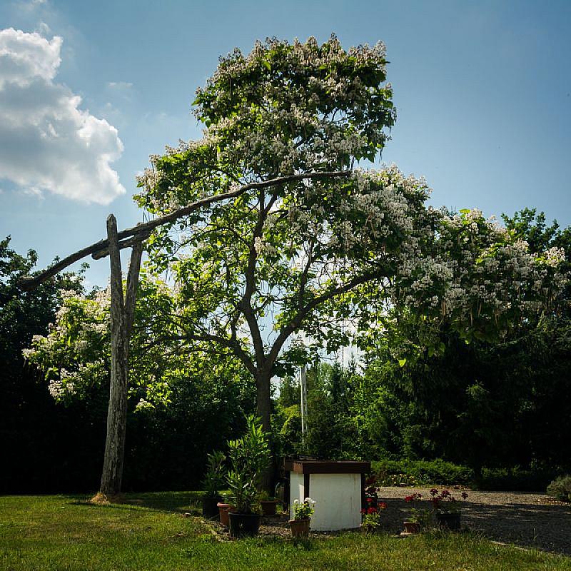 Frankó Tanya Vendégház Szarvas