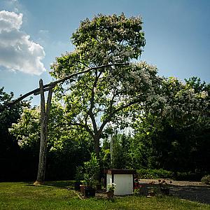 Frankó Tanya Vendégház Szarvas
