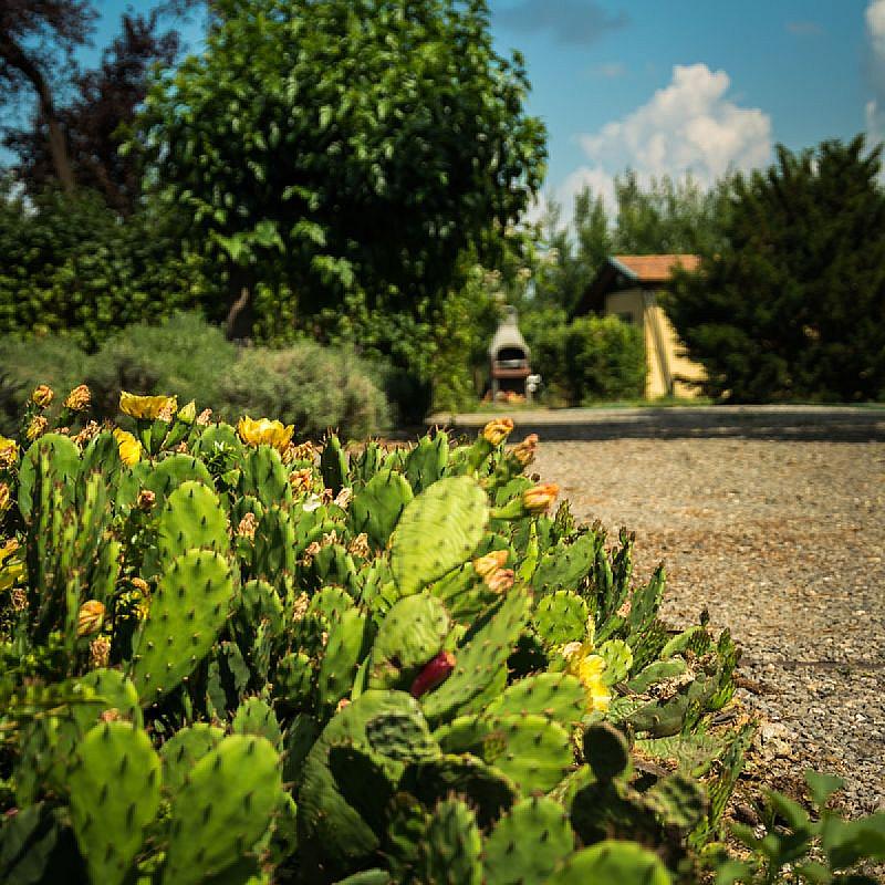 Frankó Tanya Vendégház Szarvas