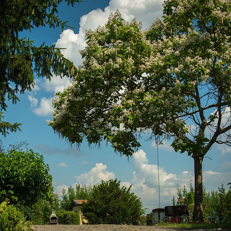 Frankó Tanya Vendégház Szarvas