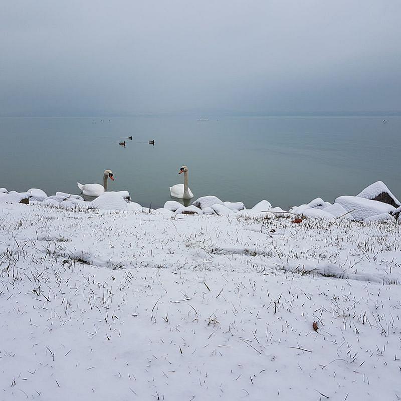 Sába-Ház Balatonboglár