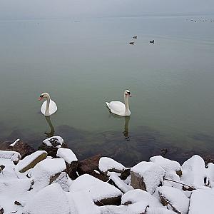 Sába-Ház Balatonboglár