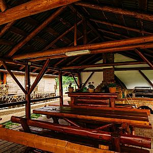 Anna Panzió Borzont