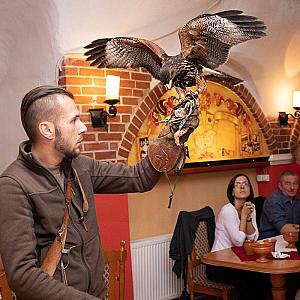Aranykorona Hotel - Történelmi Étterem és Látványpince Miskolc
