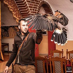 Aranykorona Hotel - Történelmi Étterem és Látványpince Miskolc