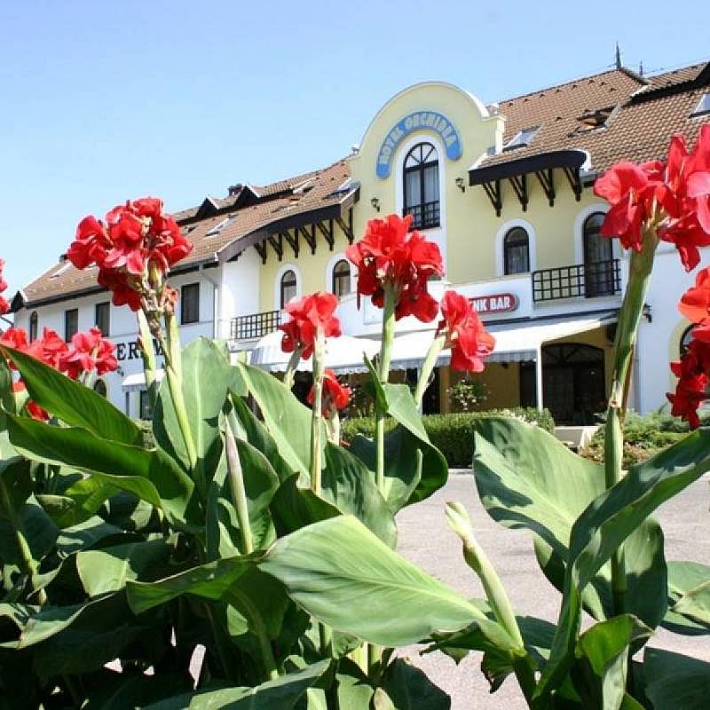 Hotel Orchidea Balástya