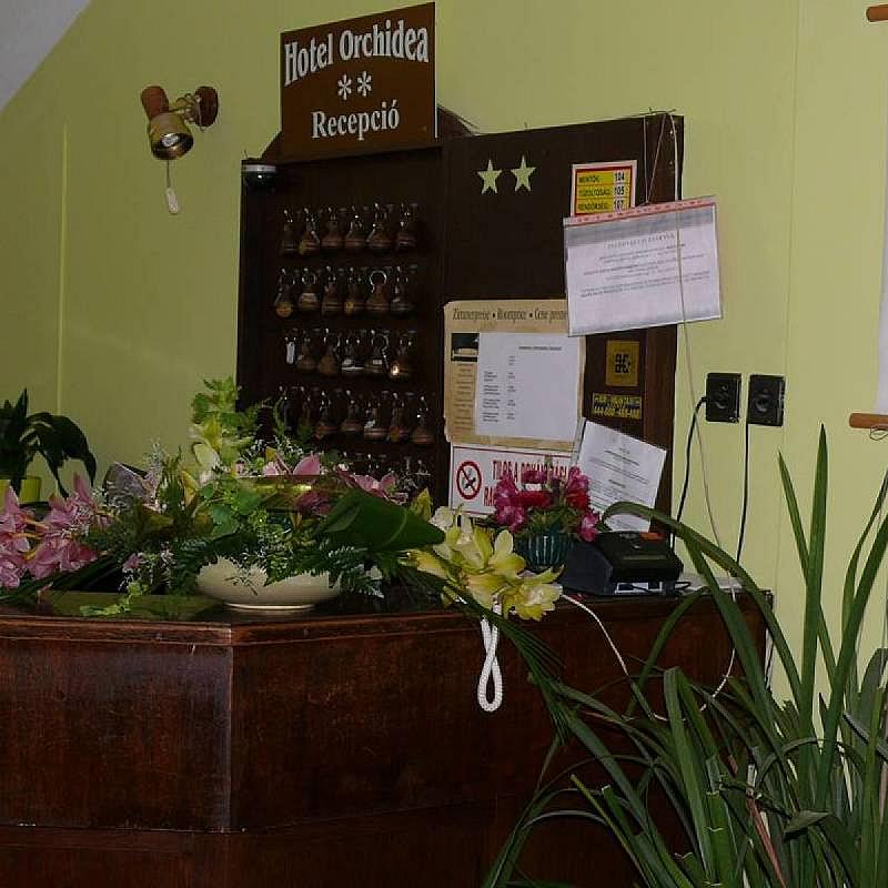 Hotel Orchidea Balástya