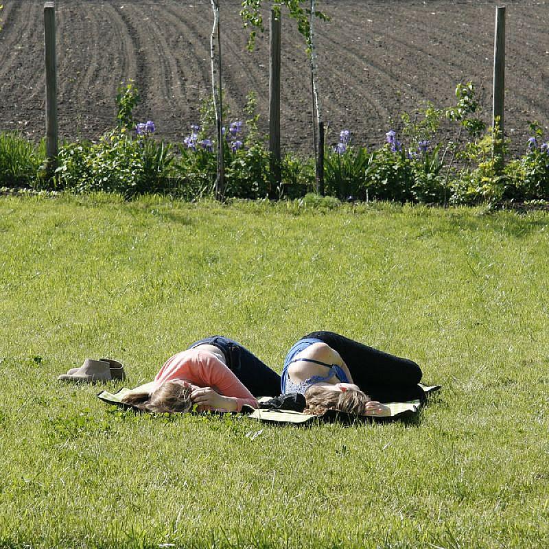 Kamarás Vendégház Ártánd