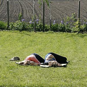 Kamarás Vendégház Ártánd